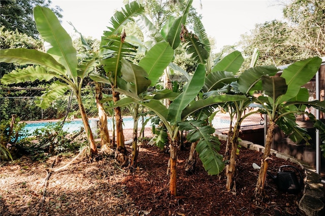 9835 NW 6th Pl, Gainesville, FL 32607 - view of nature