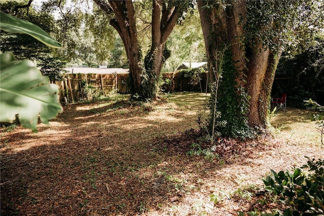 9835 NW 6th Pl, Gainesville, FL 32607 - view of yard