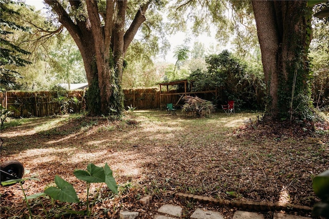 9835 NW 6th Pl, Gainesville, FL 32607 - view of yard
