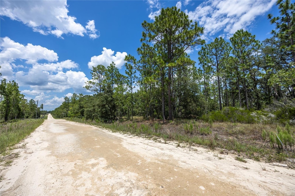 NE 150th Ct, Williston, FL 32696 - photo 1