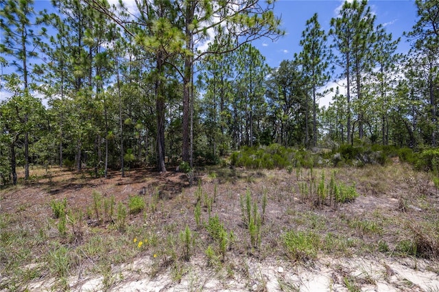 NE 150th Ct, Williston, FL 32696