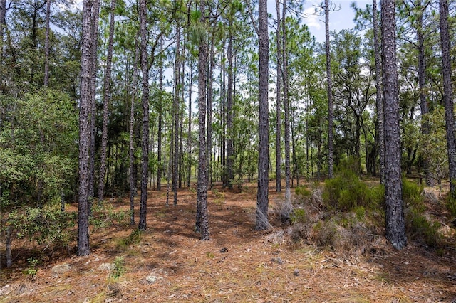 NE 150th Ct, Williston, FL 32696