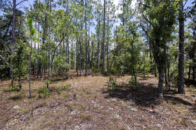 NE 150th Ct, Williston, FL 32696