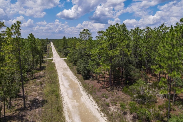 NE 150th Ct, Williston, FL 32696