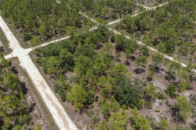 NE 150th Ct, Williston, FL 32696