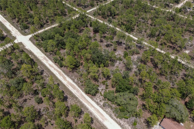 NE 150th Ct, Williston, FL 32696