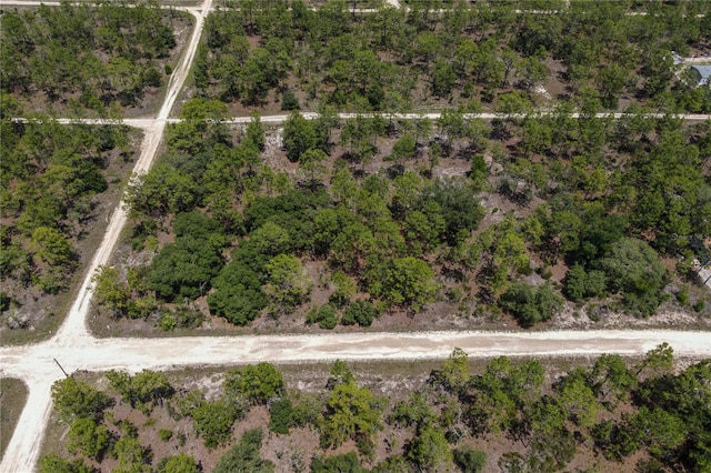 NE 150th Ct, Williston, FL 32696