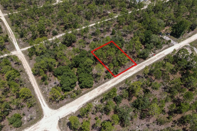 NE 150th Ct, Williston, FL 32696