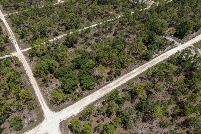 NE 150th Ct, Williston, FL 32696