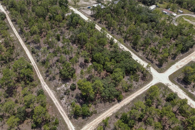 NE 150th Ct, Williston, FL 32696
