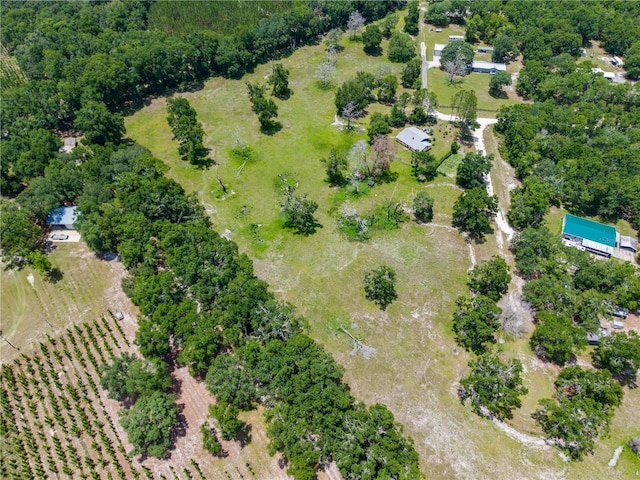 289 SW Puritan Pl, Lake City, FL 32024 - photo 3