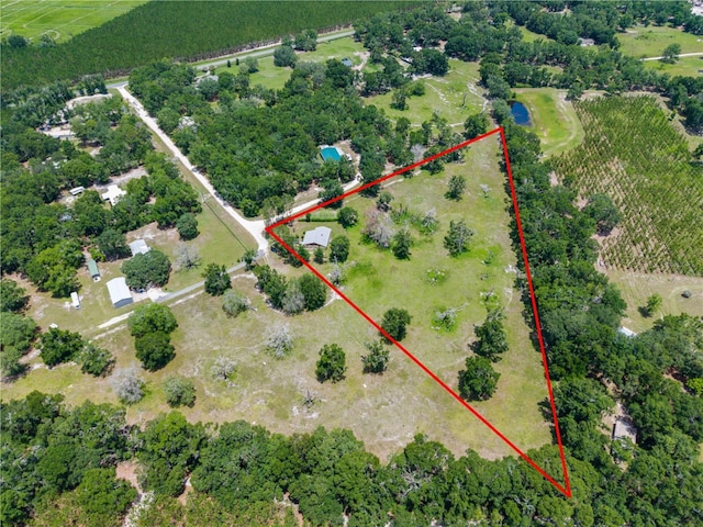 289 SW Puritan Pl, Lake City, FL 32024 - photo 4