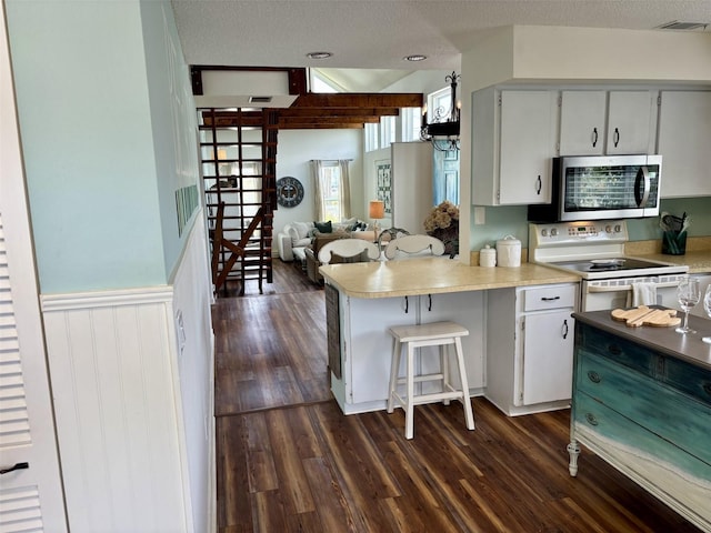 1536 S Central Ave, Flagler Beach, FL 32136 - kitchen featuring stainless steel microwave, electric stove, dark wood-style floors, a peninsula, and light countertops