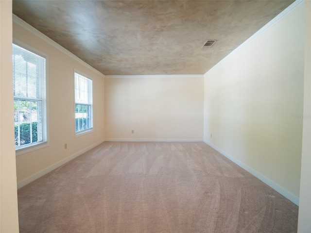 664 SW Walter Ave, Lake City, FL 32024 - photo 6