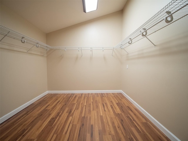 664 SW Walter Ave, Lake City, FL 32024 - photo 32