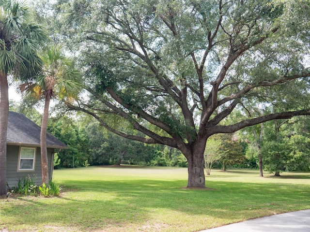 664 SW Walter Ave, Lake City, FL 32024 - photo 54