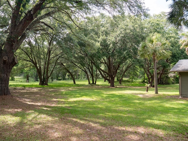 664 SW Walter Ave, Lake City, FL 32024 - photo 56