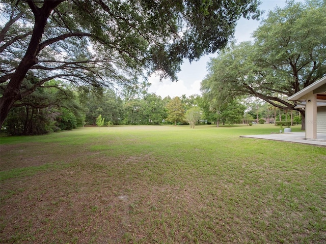664 SW Walter Ave, Lake City, FL 32024 - photo 63