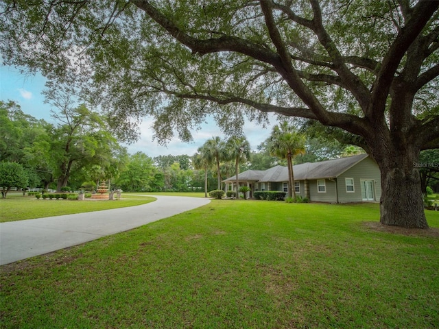 664 SW Walter Ave, Lake City, FL 32024 - photo 65