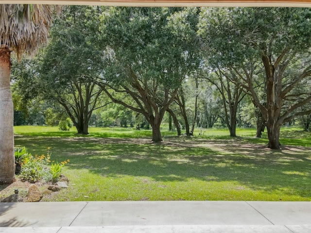 664 SW Walter Ave, Lake City, FL 32024 - photo 77