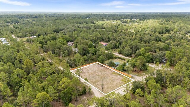 NE 132nd Ct, Williston, FL 32696 - photo 1