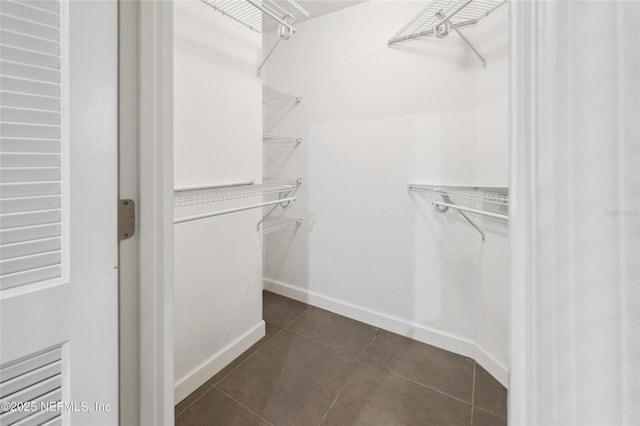 110 Cypress St, Hawthorne, FL 32640 - spacious closet featuring dark tile patterned flooring