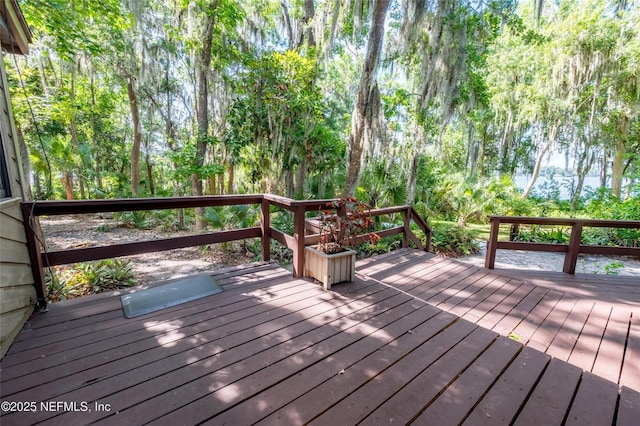 110 Cypress St, Hawthorne, FL 32640 - view of wooden deck