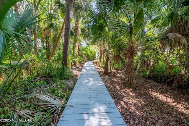 110 Cypress St, Hawthorne, FL 32640 - view of property's community