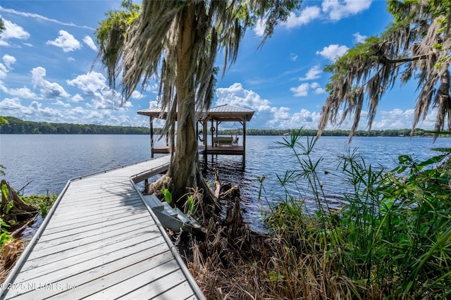 110 Cypress St, Hawthorne, FL 32640 - dock with a water view