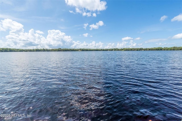 110 Cypress St, Hawthorne, FL 32640 - water view