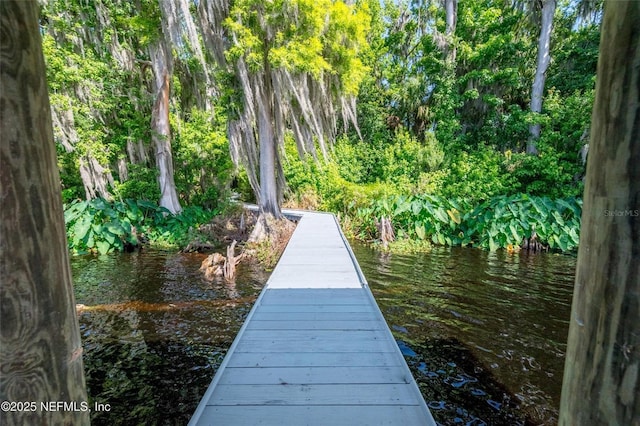 110 Cypress St, Hawthorne, FL 32640 - dock featuring a water view