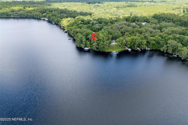 110 Cypress St, Hawthorne, FL 32640 - bird's eye view of a large body of water and a heavily wooded area