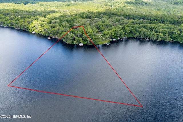 110 Cypress St, Hawthorne, FL 32640 - aerial view of a nearby body of water and a heavily wooded area