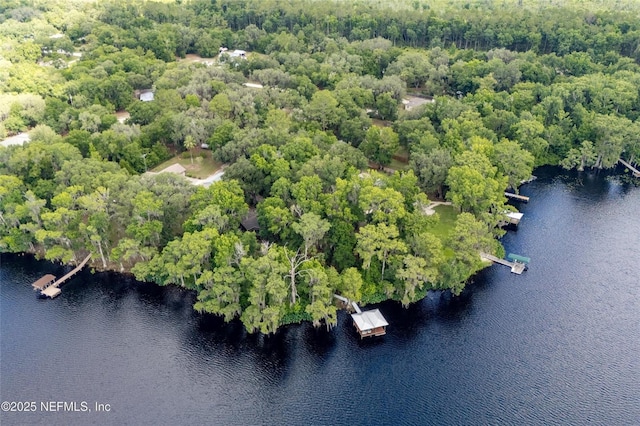 110 Cypress St, Hawthorne, FL 32640 - bird's eye view of a nearby body of water