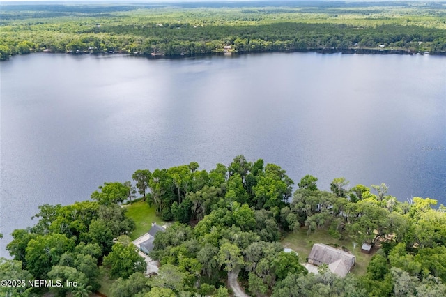 110 Cypress St, Hawthorne, FL 32640 - aerial view of property's location featuring a forest and a nearby body of water