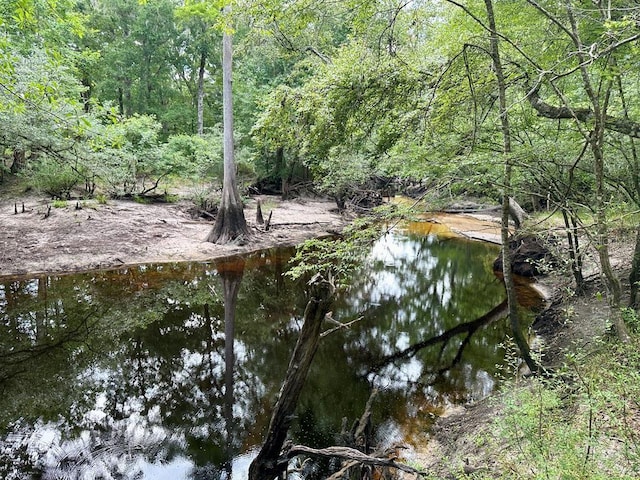 9947 SW 37th St, Lake Butler, FL 32054 - water view with a forest