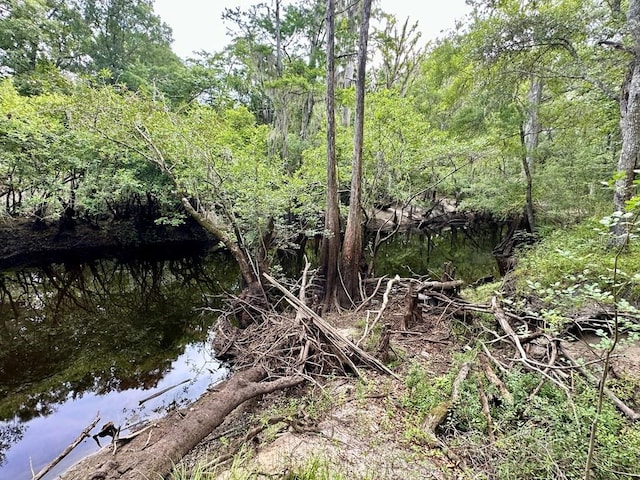 9947 SW 37th St, Lake Butler, FL 32054 - view of nature