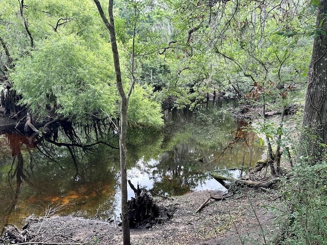 9947 SW 37th St, Lake Butler, FL 32054 - water view featuring a forest