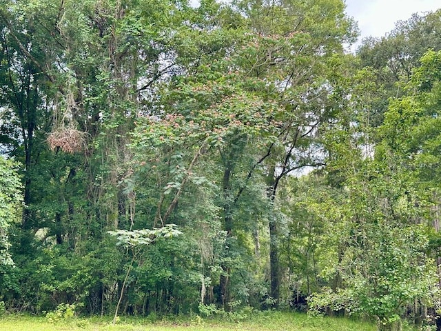 9947 SW 37th St, Lake Butler, FL 32054 - view of woods