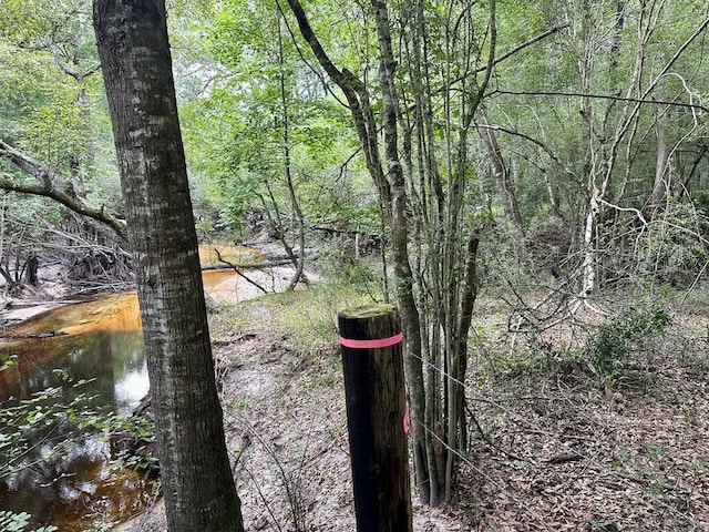 9947 SW 37th St, Lake Butler, FL 32054 - water view featuring a heavily wooded area