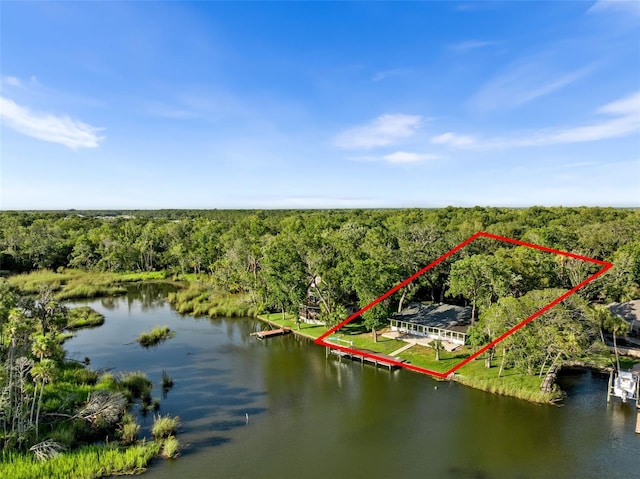 900 NW Snug Harbor Rd, Crystal River, FL 34428 - aerial view of property and surrounding area featuring a forest and property boundaries highlighted
