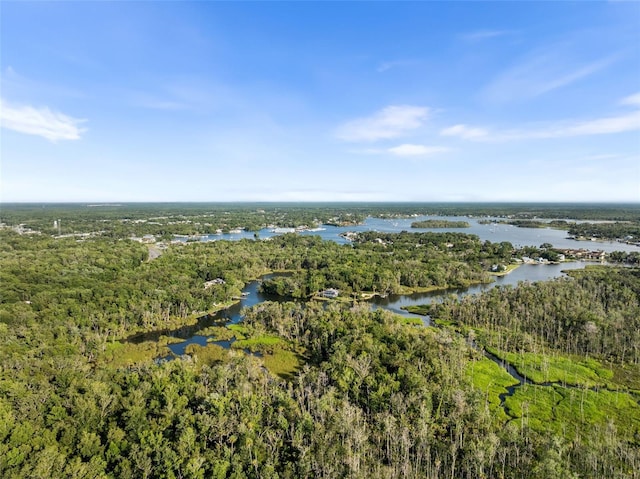900 NW Snug Harbor Rd, Crystal River, FL 34428 - view of property location with a heavily wooded area and a large body of water
