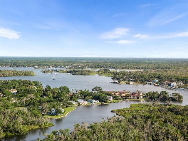 900 NW Snug Harbor Rd, Crystal River, FL 34428 - bird's eye view of a heavily wooded area and a large body of water