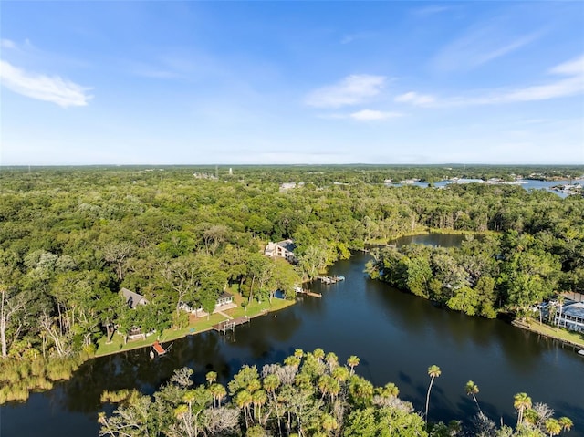 900 NW Snug Harbor Rd, Crystal River, FL 34428 - aerial view of a nearby body of water