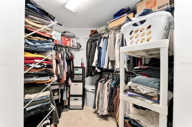 11752 NW 61st Ter, Alachua, FL 32615 - spacious closet featuring carpet flooring