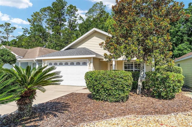 11752 NW 61st Ter, Alachua, FL 32615 - view of front of house with an attached garage, driveway, and a shingled roof