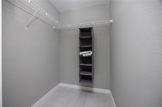 6519 W Newberry Rd Unit 404, Gainesville, FL 32605 - spacious closet with light wood-style floors