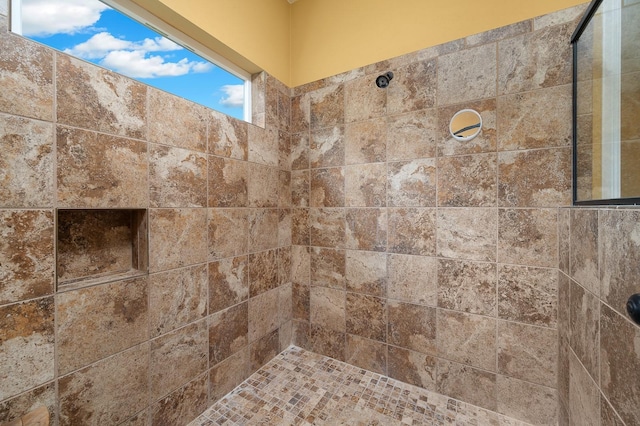 7827 SW 79th Dr, Gainesville, FL 32608 - full bath featuring tiled shower