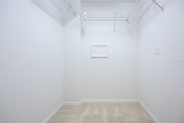 2013 SW 76th Ter, Gainesville, FL 32607 - spacious closet with carpet floors