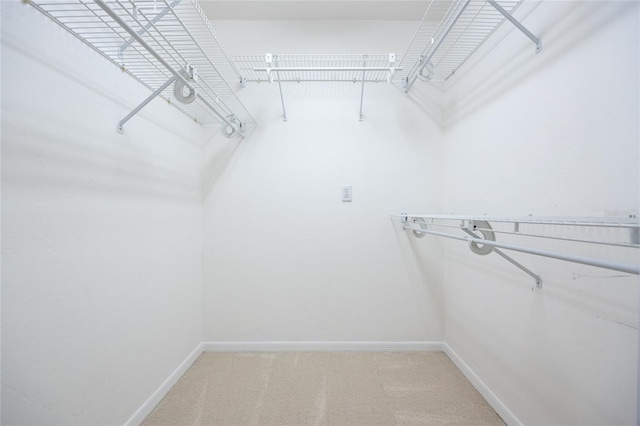 2013 SW 76th Ter, Gainesville, FL 32607 - walk in closet featuring light colored carpet